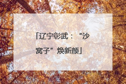 辽宁彰武：“沙窝子”焕新颜