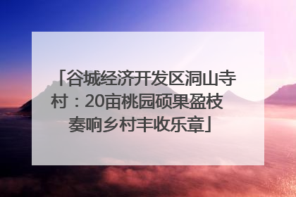 谷城经济开发区洞山寺村：20亩桃园硕果盈枝 奏响乡村丰收乐章