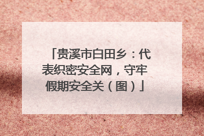 贵溪市白田乡：代表织密安全网，守牢假期安全关（图）