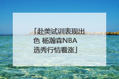 赴美试训表现出色 杨瀚森NBA选秀行情看涨