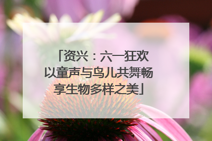资兴：六一狂欢 以童声与鸟儿共舞畅享生物多样之美