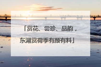 赏花、尝珍、品韵，东湖赏荷季有颜有料
