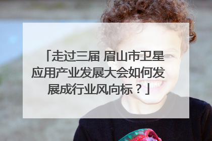 走过三届 眉山市卫星应用产业发展大会如何发展成行业风向标?