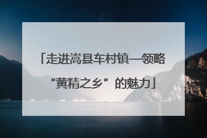 走进嵩县车村镇—领略“黄精之乡”的魅力