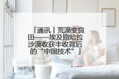 通讯丨荒漠变良田——埃及撒哈拉沙漠收获丰收背后的“中国技术”