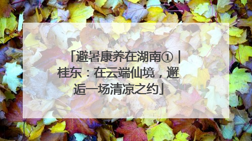 避暑康养在湖南①｜桂东：在云端仙境，邂逅一场清凉之约