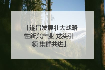 遂昌发展壮大战略性新兴产业 龙头引领 集群共进