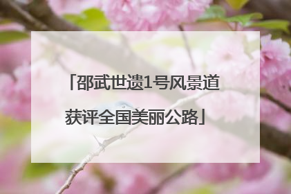 邵武世遗1号风景道获评全国美丽公路