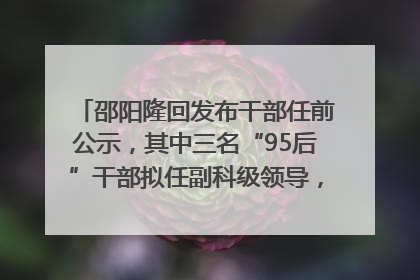 邵阳隆回发布干部任前公示，其中三名“95后”干部拟任副科级领导，均系硕士选调生