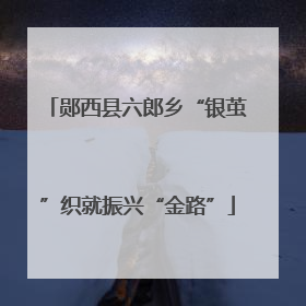 郧西县六郎乡“银茧”织就振兴“金路”