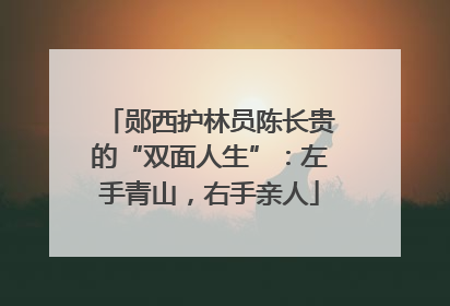 郧西护林员陈长贵的“双面人生”：左手青山，右手亲人
