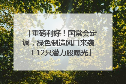 重磅利好！国常会定调，绿色制造风口来袭！12只潜力股曝光