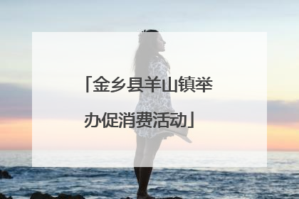 金乡县羊山镇举办促消费活动