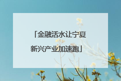 金融活水让宁夏新兴产业加速跑