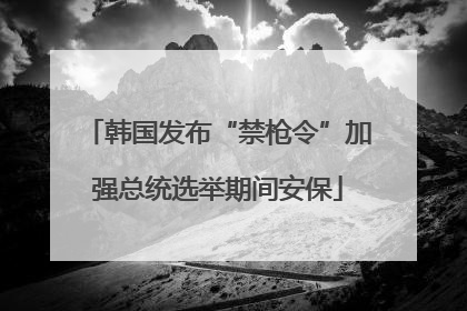 韩国发布“禁枪令”加强总统选举期间安保