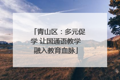 青山区：多元促学 让国通语教学融入教育血脉