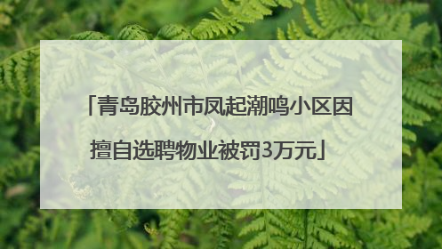 青岛胶州市凤起潮鸣小区因擅自选聘物业被罚3万元