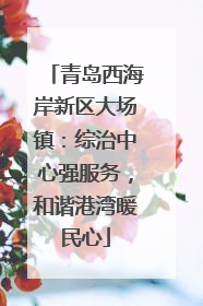 青岛西海岸新区大场镇：综治中心强服务，和谐港湾暖民心