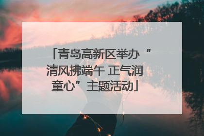 青岛高新区举办“清风拂端午 正气润童心”主题活动