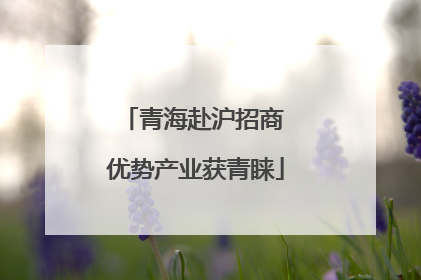 青海赴沪招商 优势产业获青睐