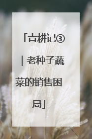 青耕记③｜老种子蔬菜的销售困局