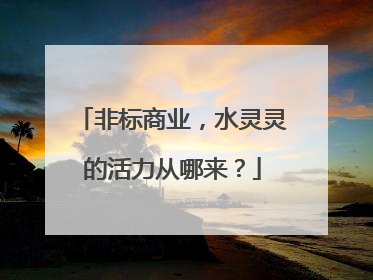 非标商业，水灵灵的活力从哪来？