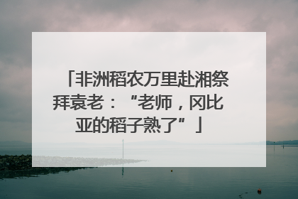 非洲稻农万里赴湘祭拜袁老：“老师，冈比亚的稻子熟了”