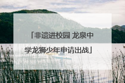 非遗进校园 龙泉中学龙狮少年申请出战