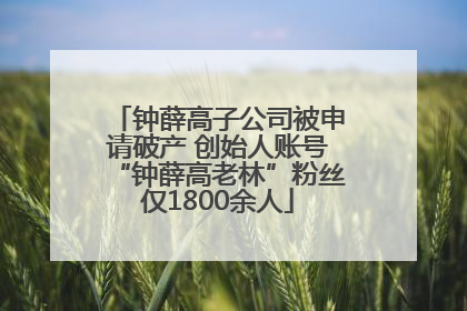钟薛高子公司被申请破产 创始人账号“钟薛高老林”粉丝仅1800余人
