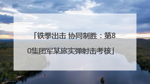铁拳出击 协同制胜：第80集团军某旅实弹射击考核