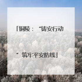 铜陵：“铸安行动”筑牢平安防线