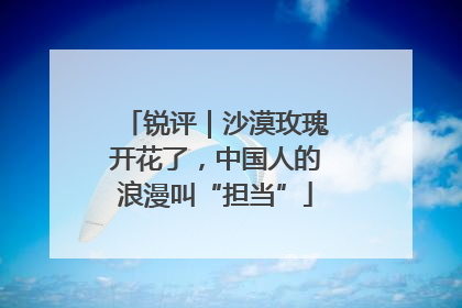 锐评｜沙漠玫瑰开花了，中国人的浪漫叫“担当”