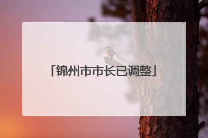 锦州市市长已调整