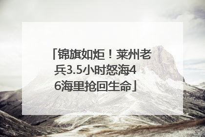 锦旗如炬！莱州老兵3.5小时怒海46海里抢回生命