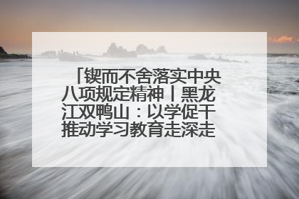 锲而不舍落实中央八项规定精神丨黑龙江双鸭山：以学促干推动学习教育走深走实 从小事入手写好“民生答卷”
