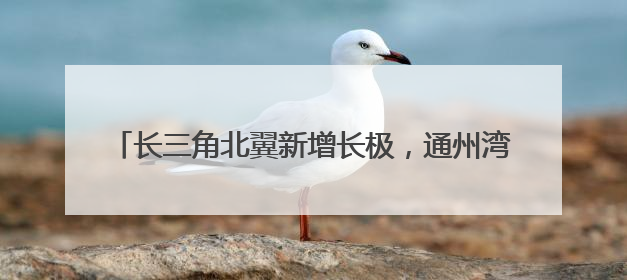 长三角北翼新增长极，通州湾打造400亿高端装备集群