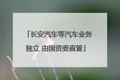 长安汽车等汽车业务独立 由国资委直管