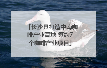 长沙县打造中南咖啡产业高地 签约7个咖啡产业项目