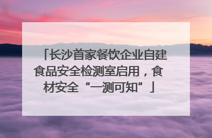 长沙首家餐饮企业自建食品安全检测室启用，食材安全“一测可知”