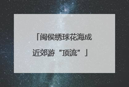 闽侯绣球花海成近郊游“顶流”