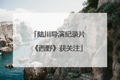 陆川导演纪录片《西野》获关注