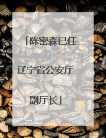 陈密森已任辽宁省公安厅副厅长