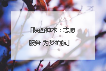 陕西神木：志愿服务 为梦护航