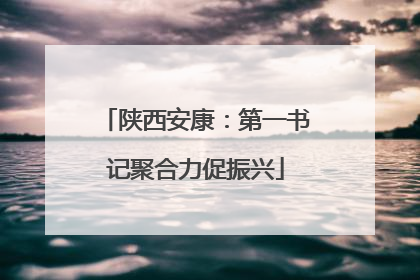 陕西安康：第一书记聚合力促振兴