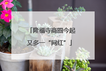 隆福寺商圈今起又多一“网红”