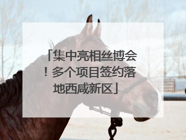 集中亮相丝博会！多个项目签约落地西咸新区