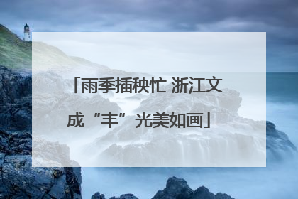雨季插秧忙 浙江文成“丰”光美如画