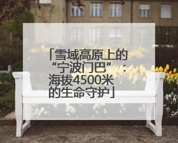雪域高原上的“宁波门巴”：海拔4500米的生命守护
