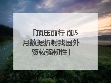 顶压前行 前5月数据折射我国外贸较强韧性