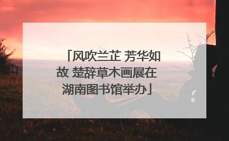 风吹兰芷 芳华如故 楚辞草木画展在湖南图书馆举办